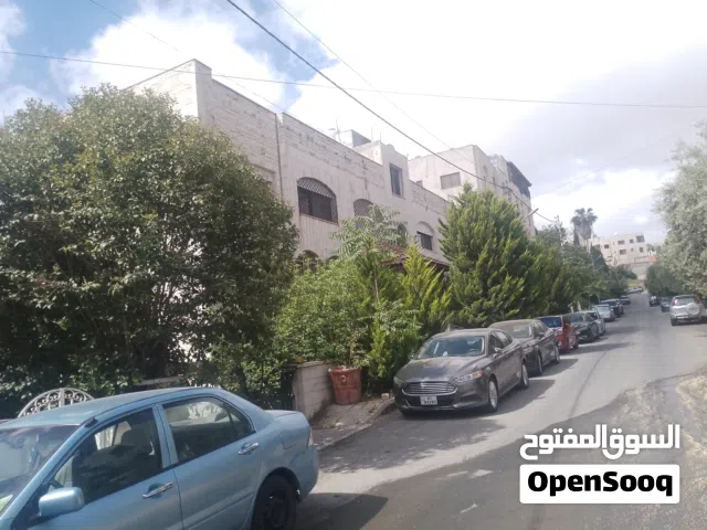 Building for Sale in Amman Al Rabiah