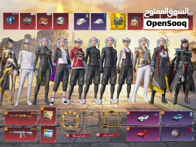 Pubg Accounts and Characters for Sale in Northern Governorate