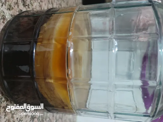 كمبوتشا فطر الشاي