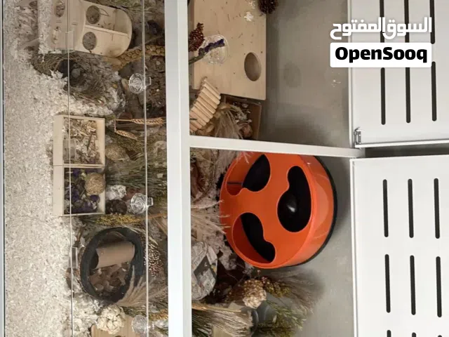 Costume made rodents habitat