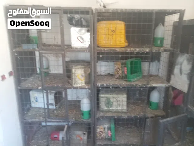 في قنون حديد للبيع وسلاكات للبيع