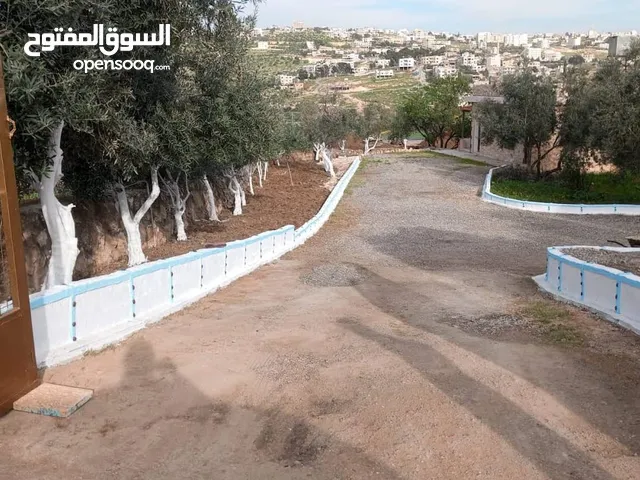 3 Bedrooms Chalet for Rent in Jerash Other