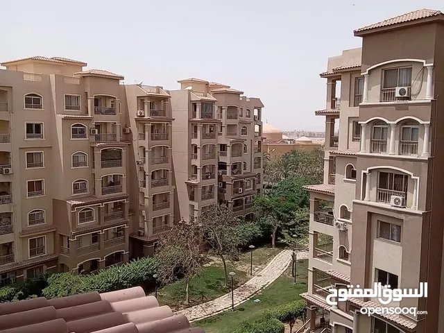 175 m2 3 Bedrooms Apartments for Rent in Cairo Madinaty