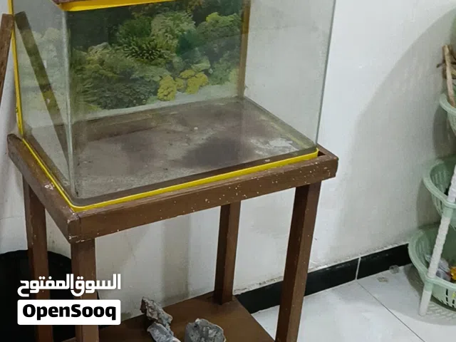 حوض سمك مع ميز وقبق