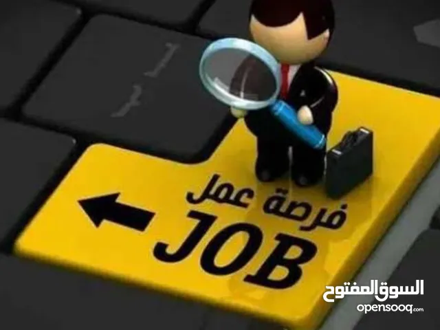 Guards & Security Security Officer Freelance - Cairo