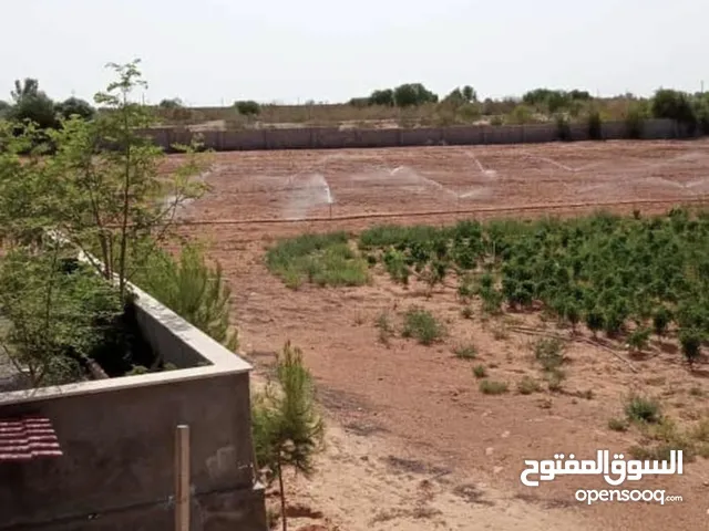 Farm Land for Sale in Tripoli Wadi Al-Rabi