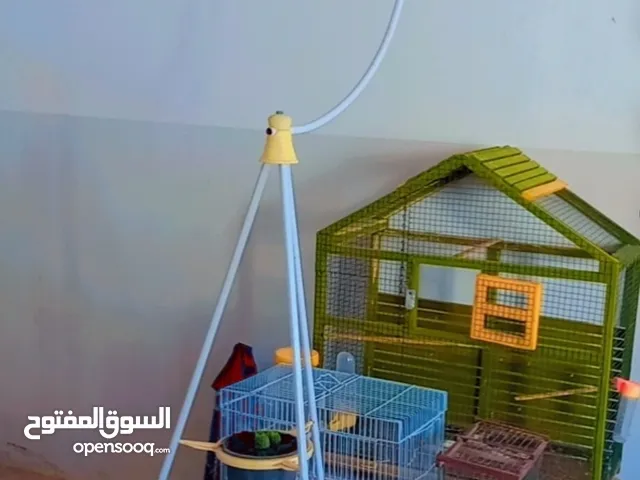 قفص خشبي وعلاق