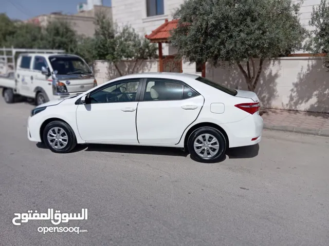 Used Toyota Corolla in Amman