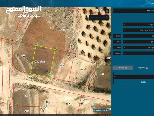 Residential Land for Sale in Zarqa Birayn