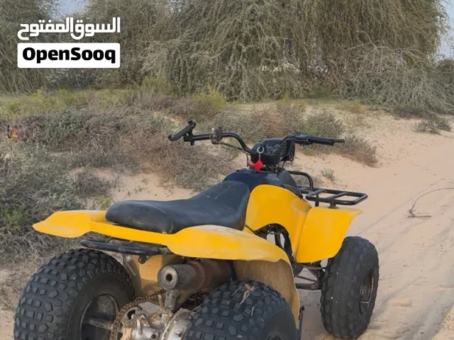 Suzuki 160cc