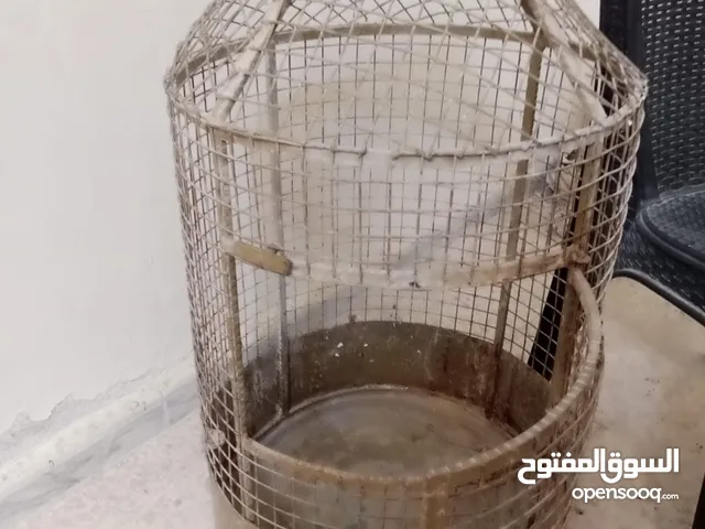 قفص مطير حديد ثقيل أسطواني تفصيل يصلح للطيور الكبيرة الببغاء و الدرة والكوكتيل والكاسكو /ويصلح للقطط