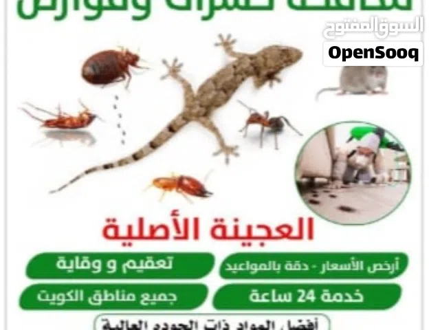 مكافحة جميع الحشرات والقوارض جميع مناطق الكويت