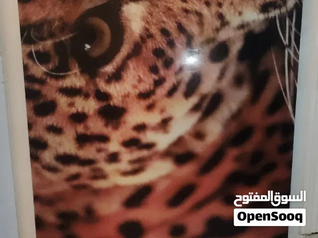 لوحات حائط حجم كبير