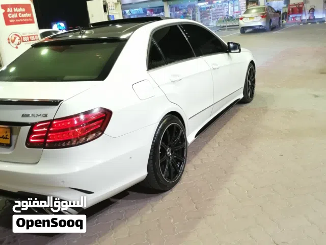 2010 Mercedes Benz E-Class E 300