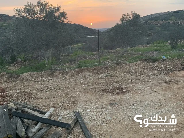 Mixed Use Land for Sale in Nablus Taluza