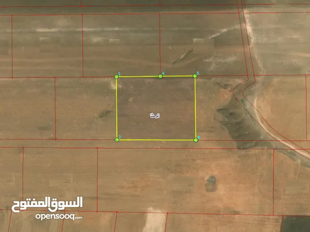 Farm Land for Sale in Ramtha Romtha