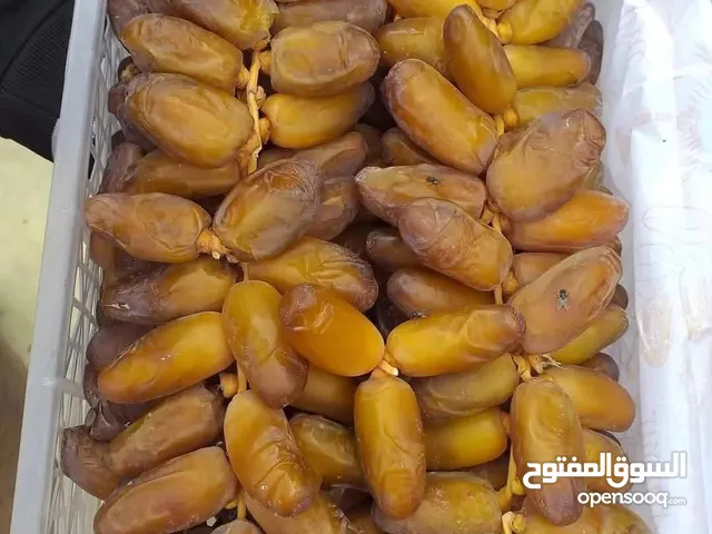 تمور الجزائر