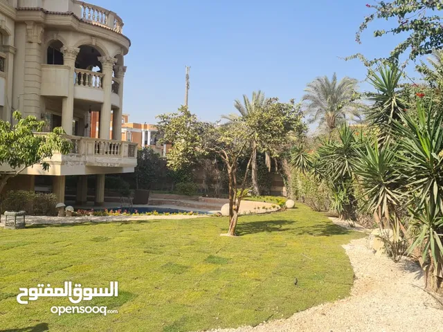 1200 m2 More than 6 bedrooms Villa for Sale in Cairo New Cairo