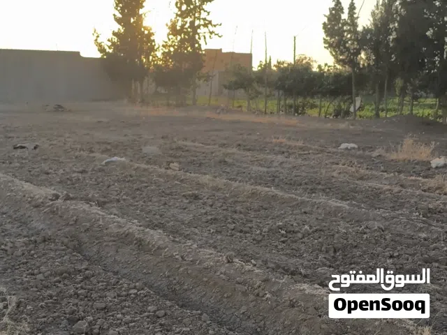 الموقع: الحسينية - [اخر شارع سرو/قرب معمل البلوك]   المساحة: 10 قصبات ≈ 237 م2   المواصفات: • واجهة: