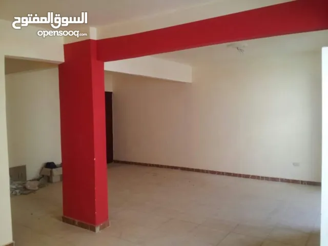 115m2 3 Bedrooms Apartments for Sale in Alexandria Agami