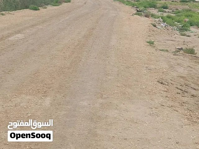 Farm Land for Sale in Basra Al-Jazzera