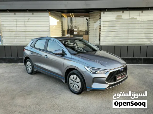 2022 BYD E2