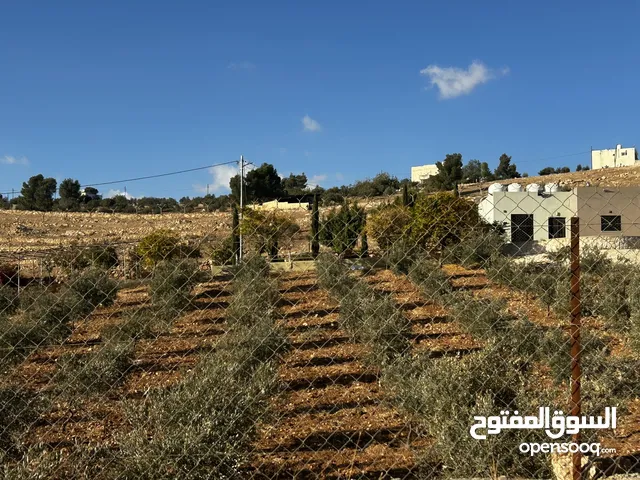 مزرعة للبيع حمامة العليمات