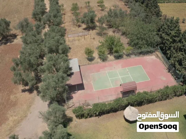 Farm Land for Sale in Bouznika Other