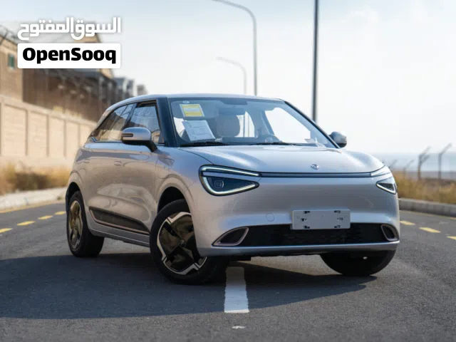 2026, Dongfeng, Nammi Box