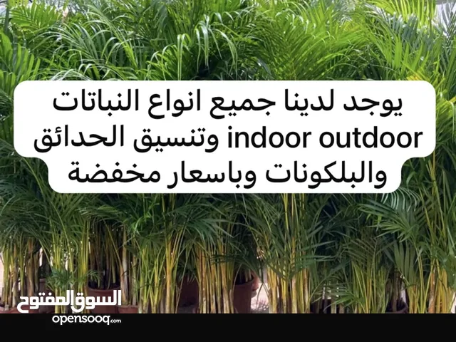 نحن علي استعداد لتخضير حديقة منزلك