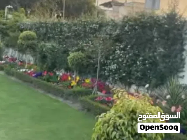 تنسيق حدائق