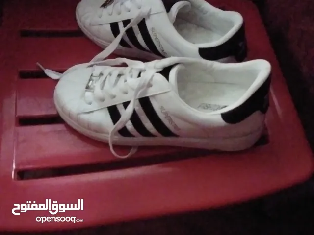 White Sport Shoes in Alexandria