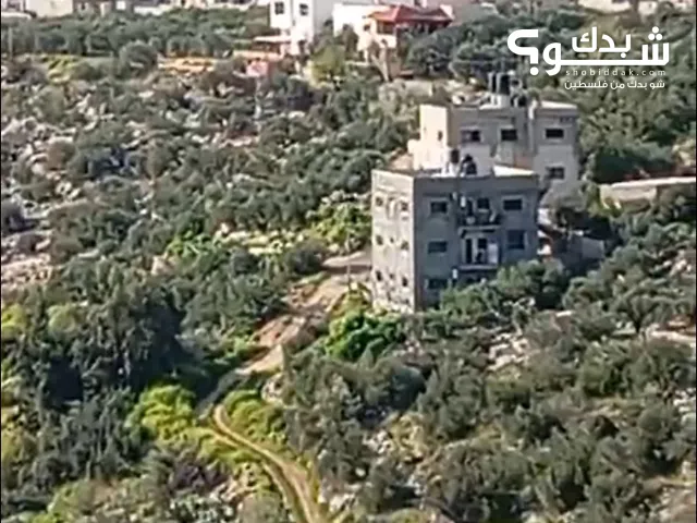 Mixed Use Land for Sale in Tulkarm Deir Al-Ghusun