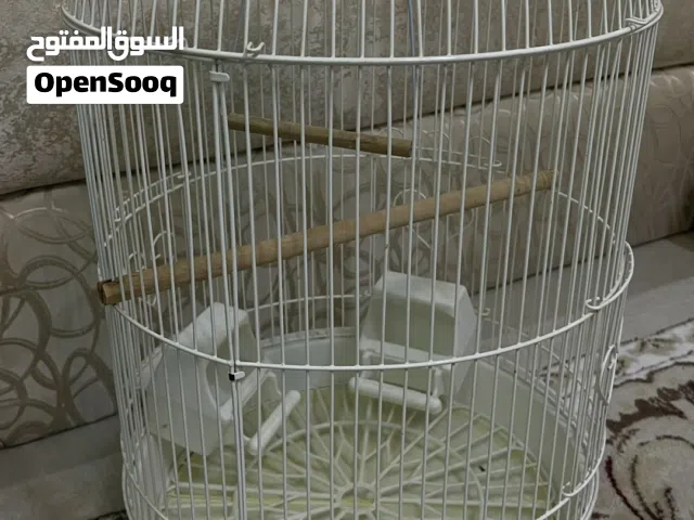 قفص نضيف للبيع