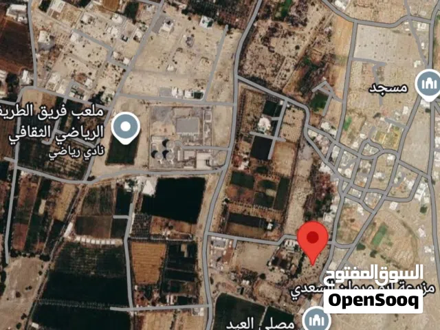 ارض زراعيه فضاء في بركاء الطريف  جنوب قريبه من الشارع العام مساحة8807م بدون بئر بمساحة تزيد عن فداني