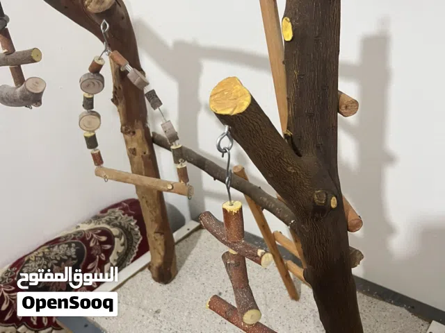 ستاند ببغاء صنع يدوي شي ممتاز
