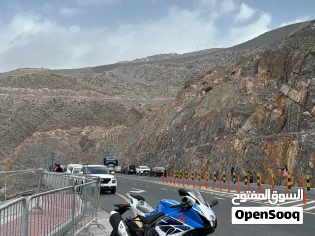 2024 Suzuki GXR 1000rr