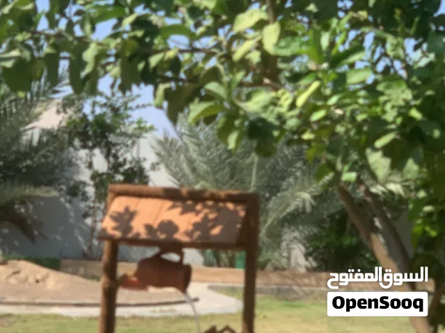 نافورة خشبية متنقلة