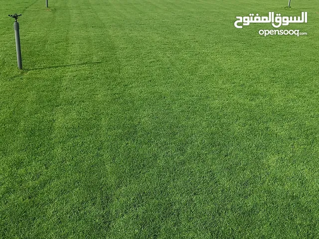 لاند سكيب أمريكي ممتاز