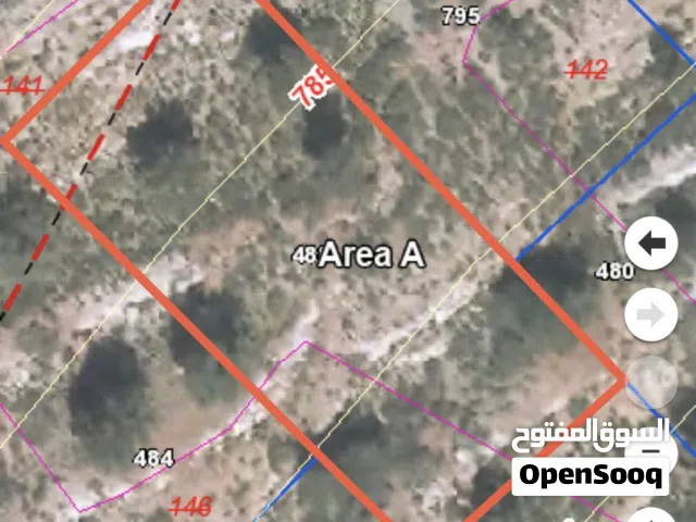 ارض بناء للبيع