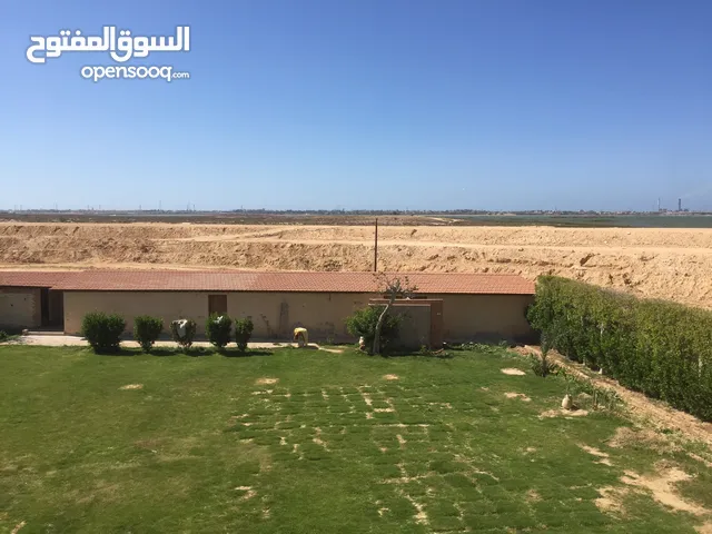Commercial Land for Sale in Alexandria Borg al-Arab