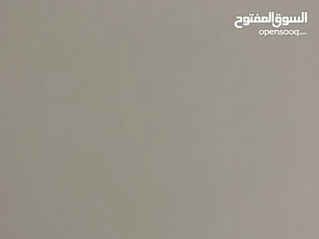 مطلوب تيس ابيض