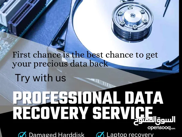 Professional data recovery and computer service