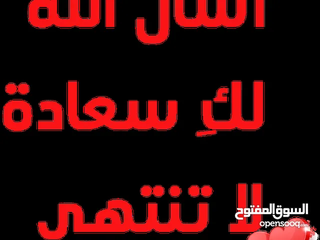 محمد على طه الضبغ
