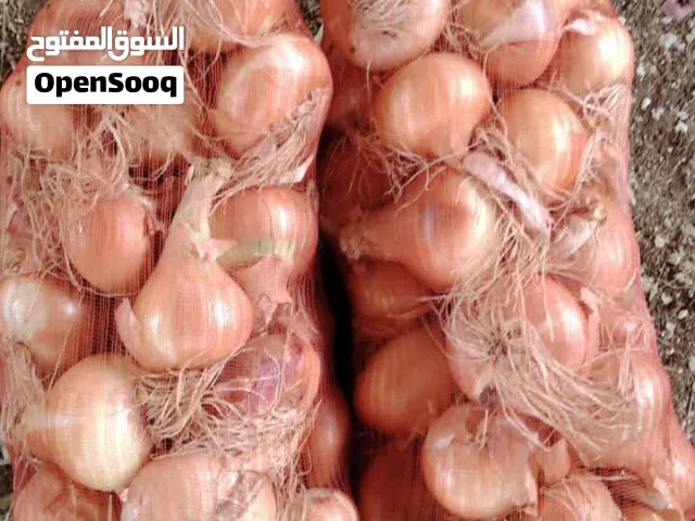 بصل نحاسي مواني