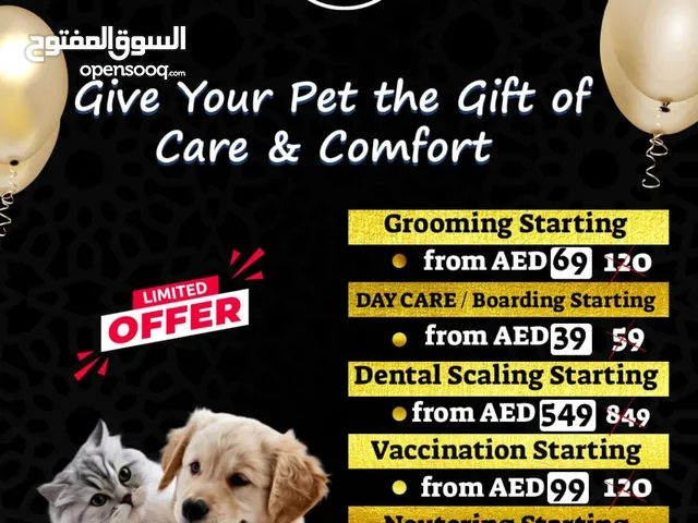 Pet service offer