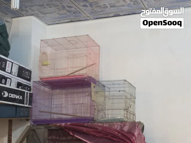 اقفاص طيور بحاله جيده