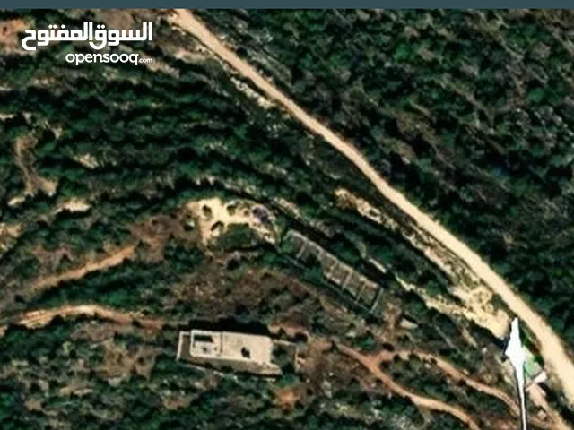 Farm Land for Sale in Ramallah and Al-Bireh Kafr Ein