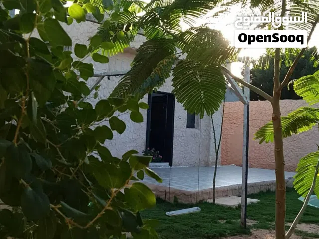 اااااااااا