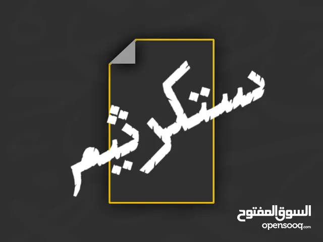 ستكرثيم " ورق جدران مفرغ ديكور بسيط ولا أروع سهل التركيب والإزالة